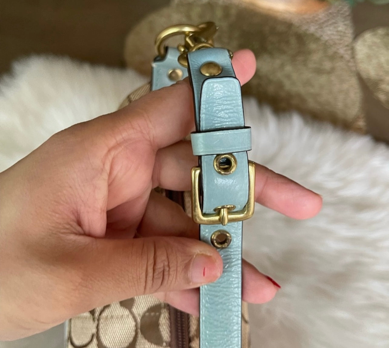 Coach mini shoulder bag